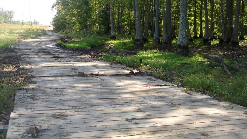 8 inch Totem Mats in use
